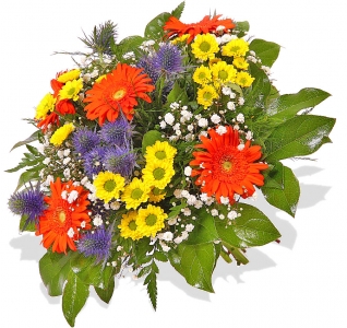 Danke sch�n...!