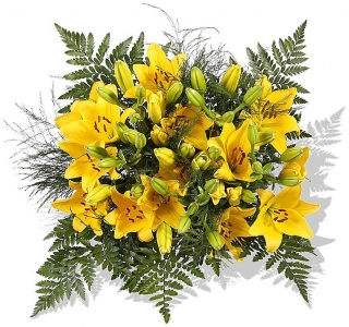 Yellow Star