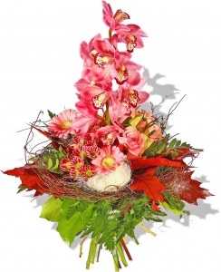 Orchideengru�