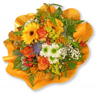 Alles Gute