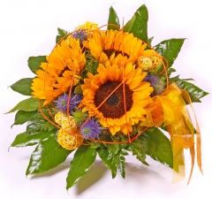 Sunrich Orange