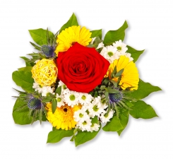 Fr�hlingsbote
