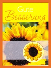 Mini-Gru�karte GUTE BESSERUNG