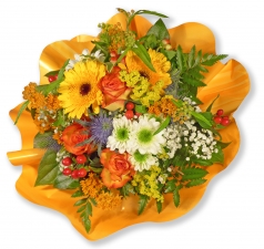 Alles Gute