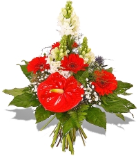 Die besten W�nsche