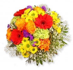 Bunte Gl�ckw�nsche